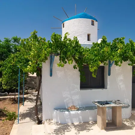 Sifnos Roots Exámbela