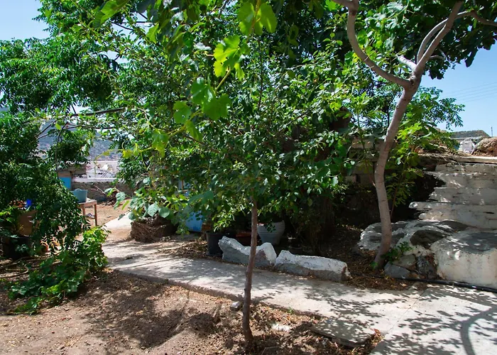 Prázdninový dům Sifnos Roots Exámbela