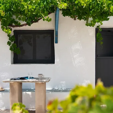 Sifnos Roots